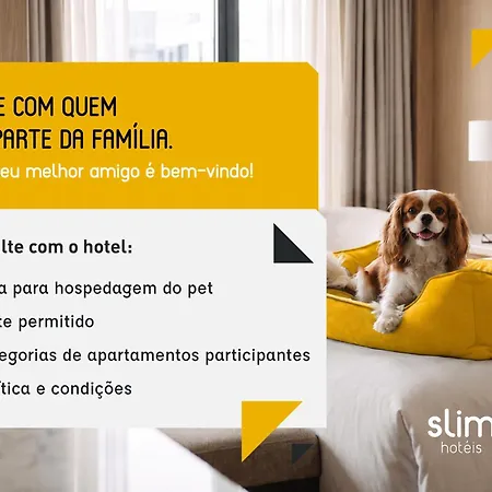 Slim Curitiba Alto da XV-3